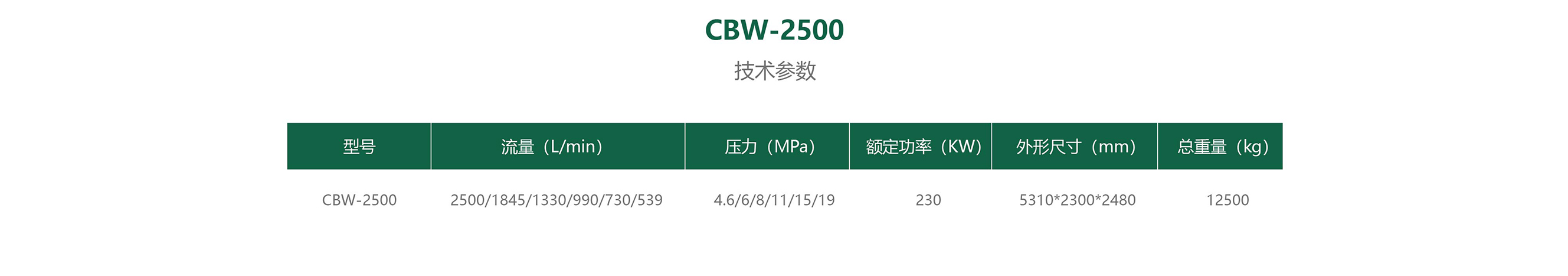 CBW-2500-02.jpg
